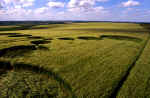 Grafton Down, Wiltshire crop circle, aerial photo 10