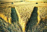 Harlton, Cambridgeshire crop circle, aerial photo 3