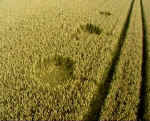 Hodson, Wiltshire crop circle, aerial photo 4