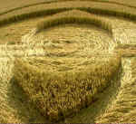 Hodson, Wiltshire crop circle, aerial photo 6