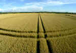 Hodson, Wiltshire crop circle, aerial photo 16