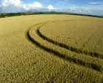 Hodson, Wiltshire crop circle, aerial photo 17