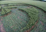 Honey Street, Wiltshire crop circle, aerial photo 4