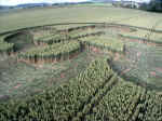 Honey Street, Wiltshire crop circle, aerial photo 6