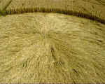 The Knoll, Wiltshire crop circle, aerial photo 6