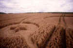 The Knoll, Wiltshire crop circle, aerial photo 14
