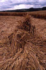 The Knoll, Wiltshire crop circle, aerial photo 13