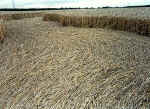 Little Bowen, Leicestershire crop circle, aerial photo 2