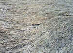 Little Bowen, Leicestershire crop circle, aerial photo 3