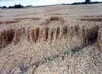 Little Bowen, Leicestershire crop circle, aerial photo 4
