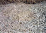 Little Bowen, Leicestershire crop circle, aerial photo 5