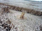 Little Bowen, Leicestershire crop circle, aerial photo 8