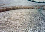 Little Bowen, Leicestershire crop circle, aerial photo 9