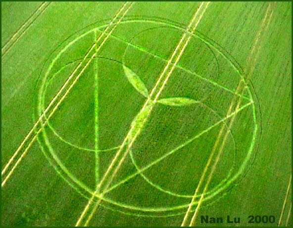 Lockeridge, Wiltshire crop circle, aerial photo 4