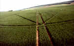 Lockeridge, Wiltshire crop circle, aerial photo 8