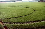 Lockeridge, Wiltshire crop circle, aerial photo 9