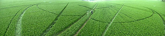 Lockeridge, Wiltshire crop circle, aerial photo 6