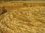Martinsell Hill, Wiltshire crop circle, aerial photo 10