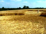 Martinsell Hill, Wiltshire crop circle, aerial photo 11
