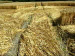 Martinsell Hill, Wiltshire crop circle, aerial photo 7