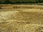 Martinsell Hill, Wiltshire crop circle, aerial photo 12