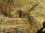 Martinsell Hill, Wiltshire crop circle, aerial photo 6