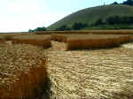 Martinsell Hill, Wiltshire crop circle, aerial photo 5