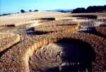 Martinsell Hill, Wiltshire crop circle, aerial photo 13