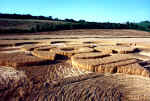 Martinsell Hill, Wiltshire crop circle, aerial photo 14