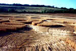 Martinsell Hill, Wiltshire crop circle, aerial photo 16