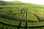 Alton Barnes, Wiltshire crop circle, aerial photo 6