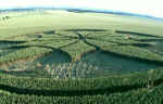 Alton Barnes, Wiltshire crop circle, aerial photo 4