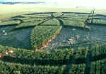 Alton Barnes, Wiltshire crop circle, aerial photo 3