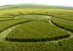 North Down, Wiltshire crop circle, aerial photo 7