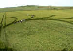 North Down, Wiltshire crop circle, aerial photo 8