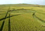 North Down, Wiltshire crop circle, aerial photo 9
