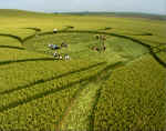 North Down, Wiltshire crop circle, aerial photo 4