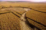 North Down, Wiltshire crop circle, aerial photo 11