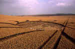 North Down, Wiltshire crop circle, aerial photo 13