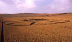 North Down, Wiltshire crop circle, aerial photo 14