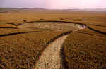 North Down, Wiltshire crop circle, aerial photo 15