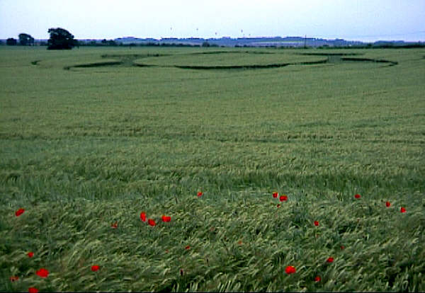 Pack Lane, Hampshire crop circle, aerial photo 2