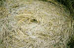 Patcham, Sussex crop circle, aerial photo 6