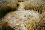 Patcham, Sussex crop circle, aerial photo 4