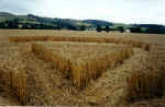 Pegsdon (2), Hertsfordshire crop circle, aerial photo 5