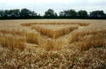 Pegsdon (2), Hertsfordshire crop circle, aerial photo 6