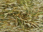 Pewsey White Horse, Wiltshire crop circle, aerial photo 17
