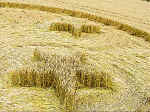Pewsey White Horse, Wiltshire crop circle, aerial photo 16