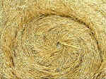 Pewsey White Horse, Wiltshire crop circle, aerial photo 13