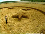 Pewsey White Horse, Wiltshire crop circle, aerial photo 8